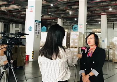 美邦前海離港空運(yùn)服務(wù)中心受邀深視新聞采訪